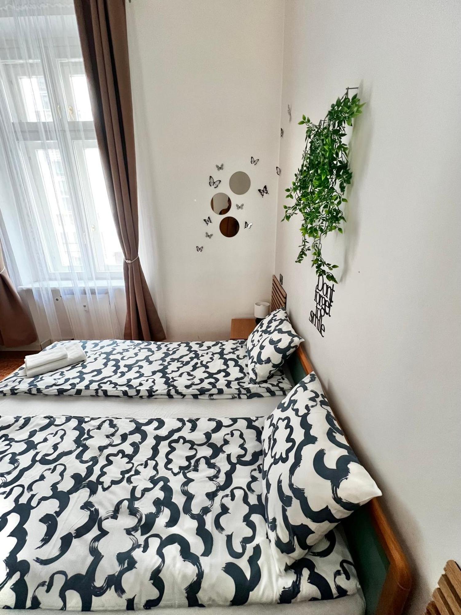 Apartmán Olivova *